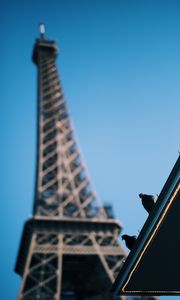 Preview wallpaper eiffel tower, pigeons, roof, blur