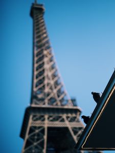 Preview wallpaper eiffel tower, pigeons, roof, blur