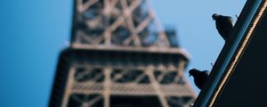 Preview wallpaper eiffel tower, pigeons, roof, blur