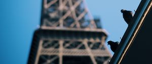 Preview wallpaper eiffel tower, pigeons, roof, blur