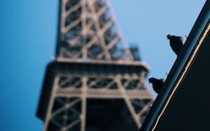 Preview wallpaper eiffel tower, pigeons, roof, blur