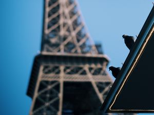 Preview wallpaper eiffel tower, pigeons, roof, blur