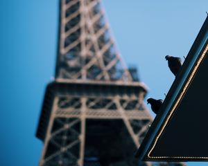 Preview wallpaper eiffel tower, pigeons, roof, blur