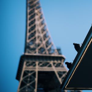 Preview wallpaper eiffel tower, pigeons, roof, blur