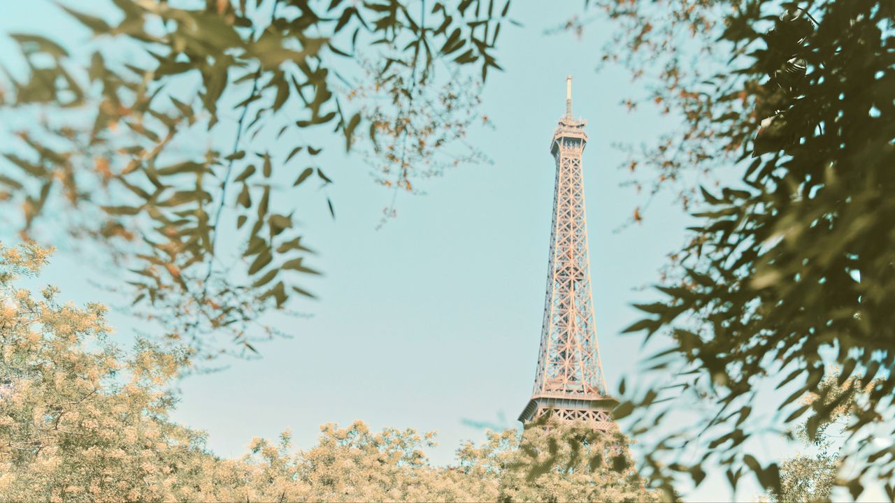 Wallpaper eiffel tower, tower, branches, trees, building, paris