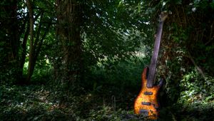 Preview wallpaper electric guitar, guitar, music, leaves