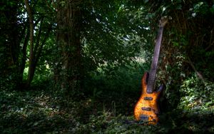 Preview wallpaper electric guitar, guitar, music, leaves