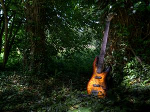 Preview wallpaper electric guitar, guitar, music, leaves