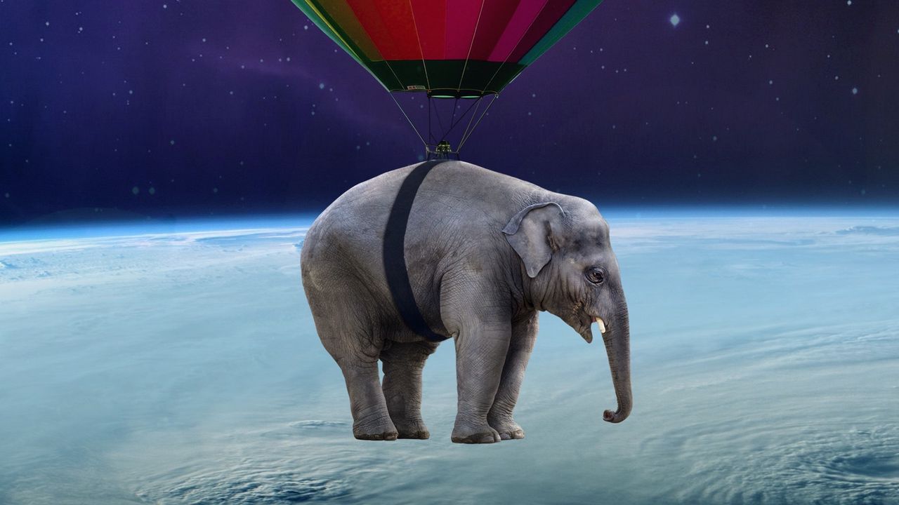 Wallpaper elephant, air balloon, space, weightlessness
