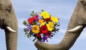 Preview wallpaper elephant, flowers, bouquet