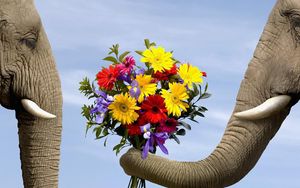 Preview wallpaper elephant, flowers, bouquet