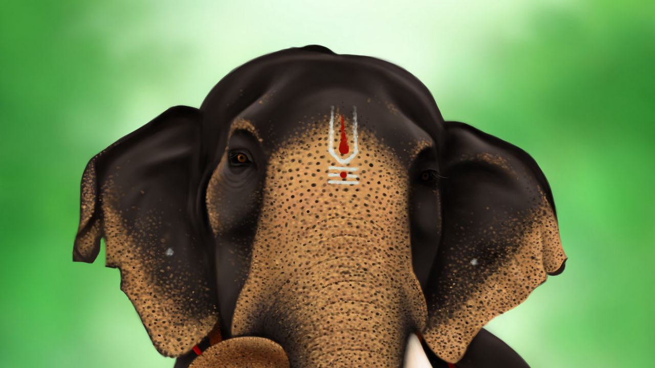 Wallpaper elephant, indian, animal, art