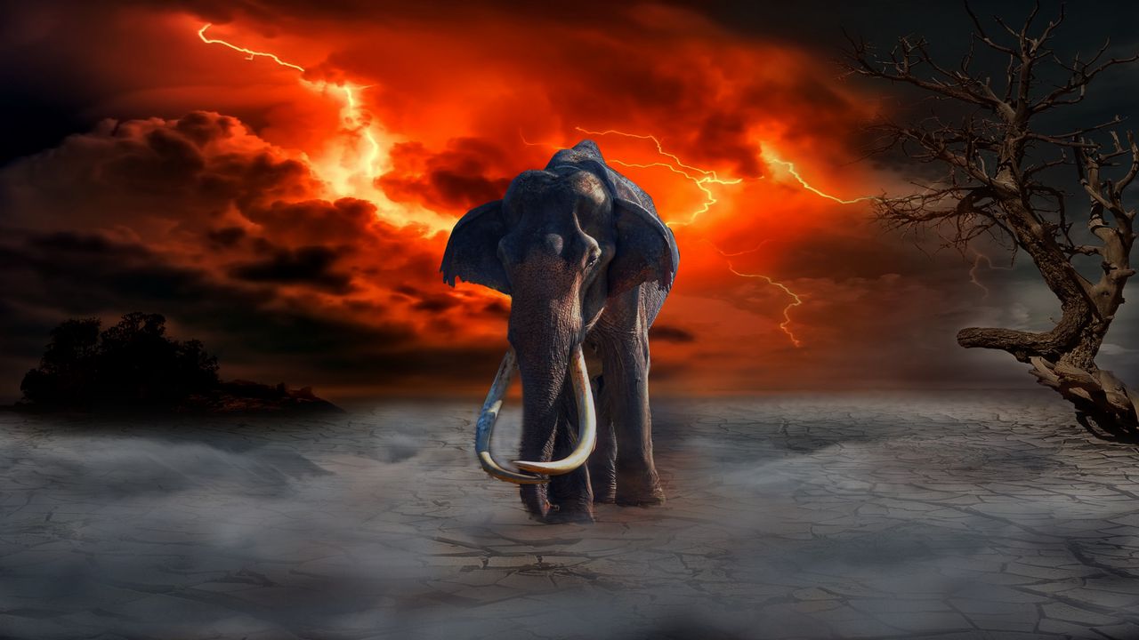 Wallpaper elephant, lightning, photoshop, fantasy