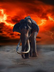 Preview wallpaper elephant, lightning, photoshop, fantasy