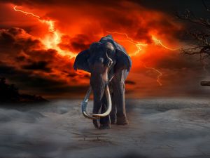 Preview wallpaper elephant, lightning, photoshop, fantasy