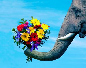 Preview wallpaper elephant, trunk, couple, flowers, caring, romantic