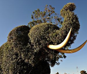 Preview wallpaper elephant, tusks, vegetation, bushes