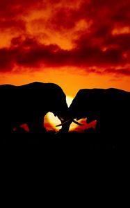 Preview wallpaper elephants, couple, silhouettes, sunset, dark