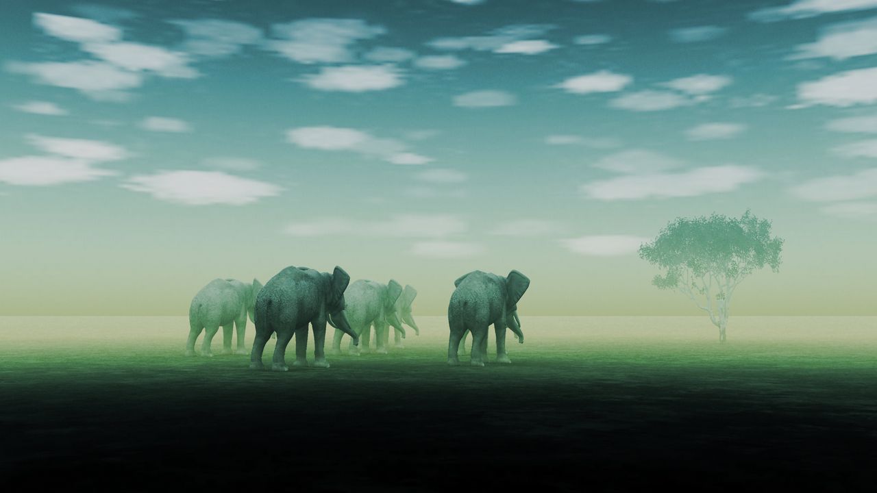 Wallpaper elephants, fog, mirage, desert, art