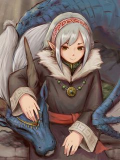Download wallpaper 240x320 elf, decoration, dragon, anime old mobile, cell  phone, smartphone hd background