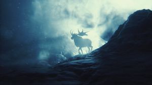 Elk wallpapers hd, desktop backgrounds, images and pictures