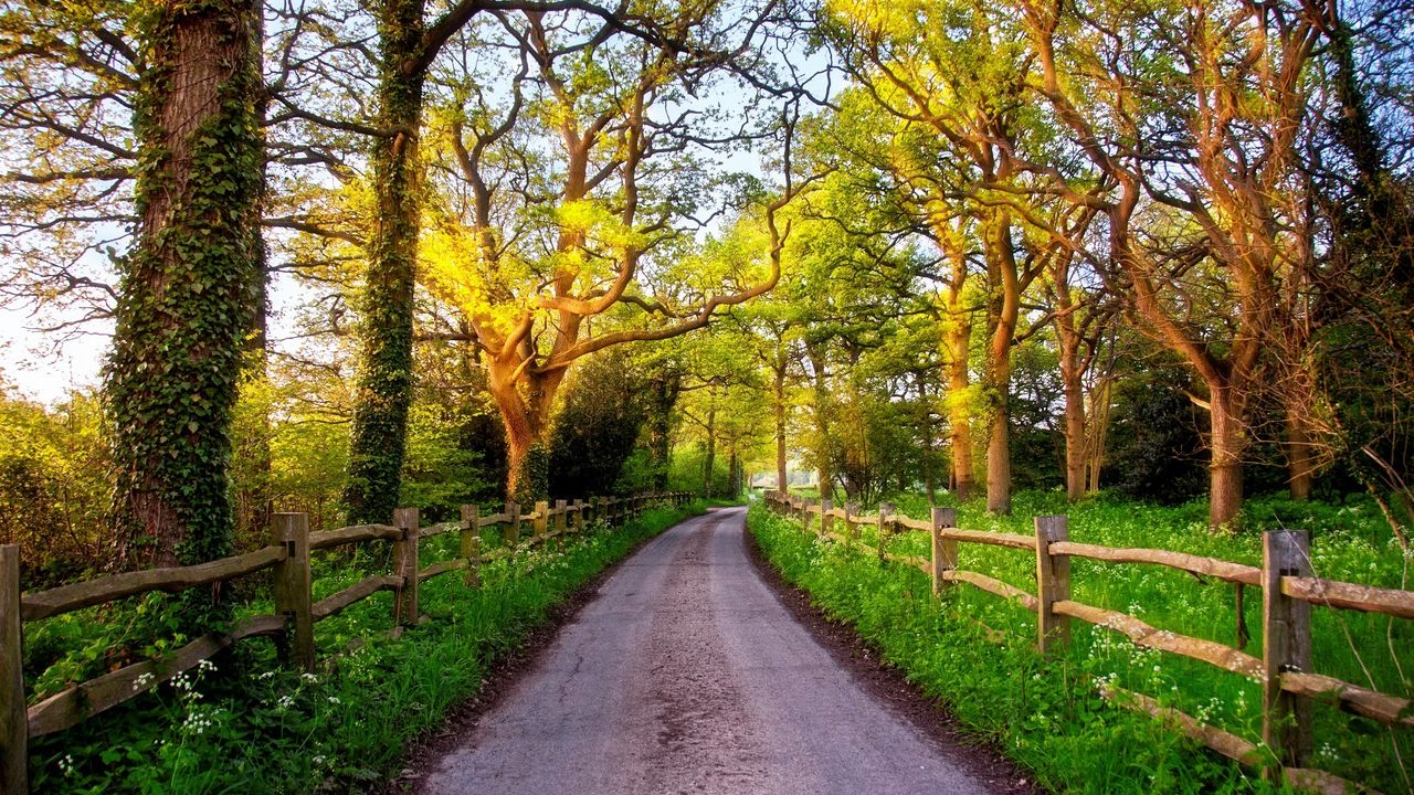 Wallpaper england, great britain, nature, road, green, grass, fence, trees, sun, dawn