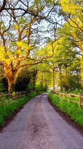 Preview wallpaper england, great britain, nature, road, green, grass, fence, trees, sun, dawn