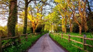 Preview wallpaper england, great britain, nature, road, green, grass, fence, trees, sun, dawn