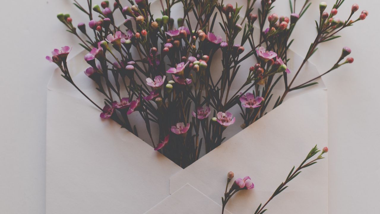 Wallpaper envelope, flowers, bouquet