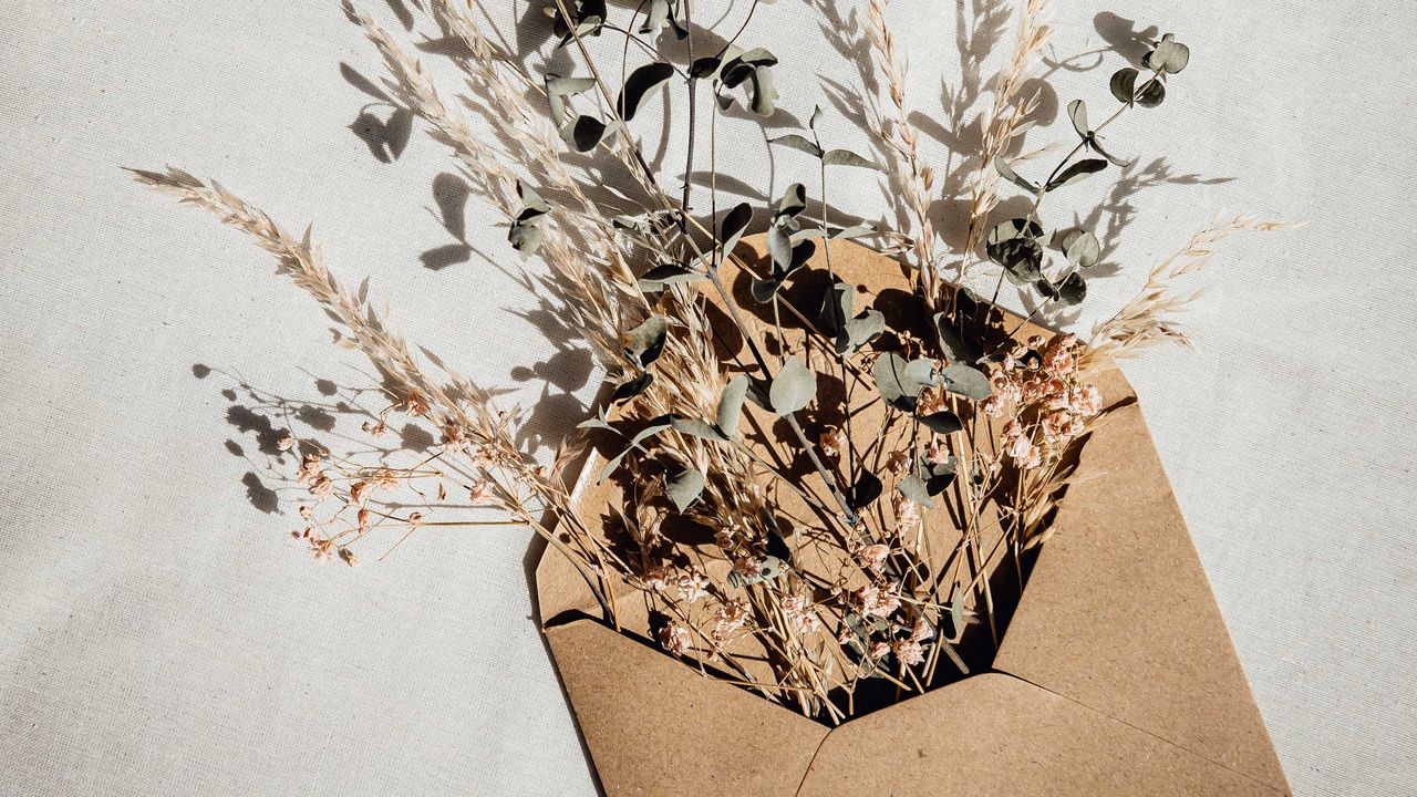 Wallpaper envelope, herbarium, plants, branches, ears
