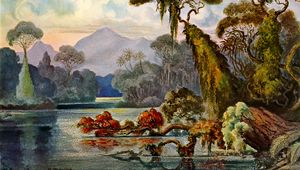 Preview wallpaper ernst haeckel, ceylon, jungle, art, lithography