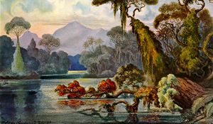 Preview wallpaper ernst haeckel, ceylon, jungle, art, lithography