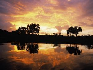 Preview wallpaper evening, clouds, sky, lake, decline, patterns, trees, outlines