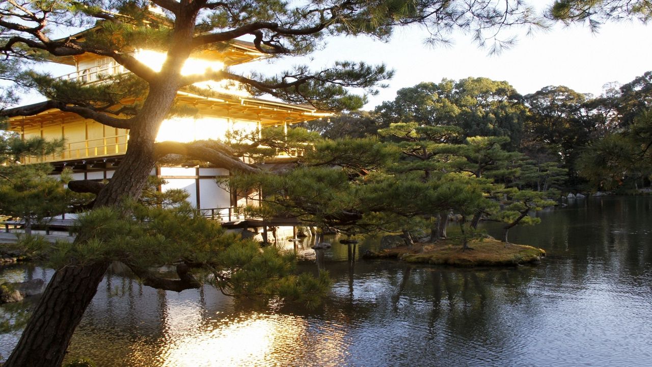 Wallpaper evening, japan, mansion, water, garden, trees