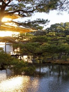 Preview wallpaper evening, japan, mansion, water, garden, trees