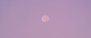 Preview wallpaper evening, moon, birds, purple