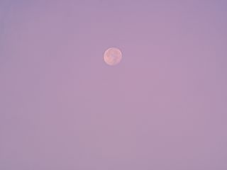 320x240 Wallpaper evening, moon, birds, purple