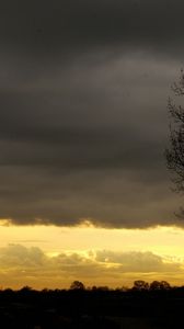 Preview wallpaper evening, sky, decline, outlines, veil, tree, twilight