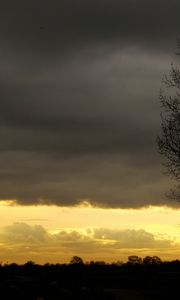 Preview wallpaper evening, sky, decline, outlines, veil, tree, twilight