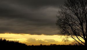 Preview wallpaper evening, sky, decline, outlines, veil, tree, twilight