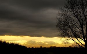 Preview wallpaper evening, sky, decline, outlines, veil, tree, twilight