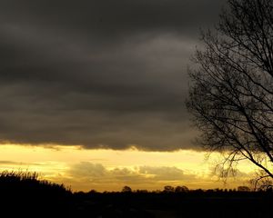 Preview wallpaper evening, sky, decline, outlines, veil, tree, twilight