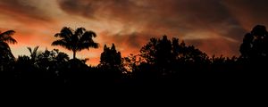 Preview wallpaper evening, trees, outlines, dark, sunset, clouds