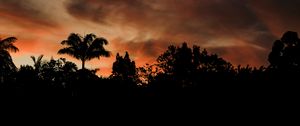 Preview wallpaper evening, trees, outlines, dark, sunset, clouds