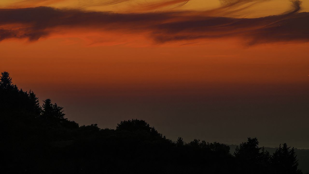 Wallpaper evening, twilight, trees, silhouettes, dark