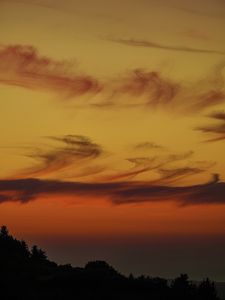 Preview wallpaper evening, twilight, trees, silhouettes, dark