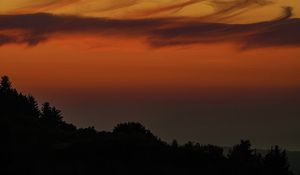 Preview wallpaper evening, twilight, trees, silhouettes, dark