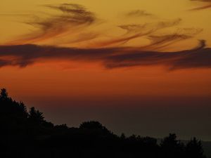 Preview wallpaper evening, twilight, trees, silhouettes, dark