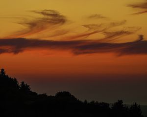 Preview wallpaper evening, twilight, trees, silhouettes, dark