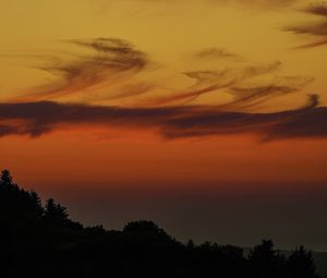 Preview wallpaper evening, twilight, trees, silhouettes, dark